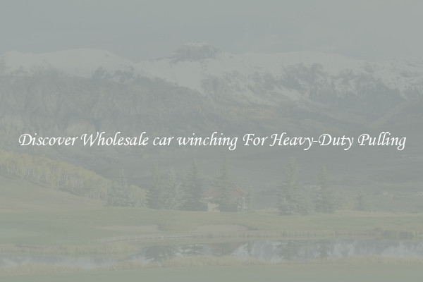Discover Wholesale car winching For Heavy-Duty Pulling