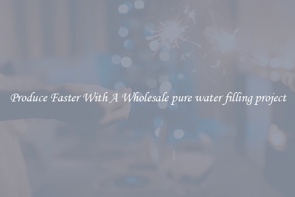 Produce Faster With A Wholesale pure water filling project