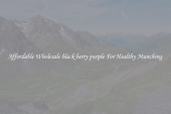 Affordable Wholesale black berry purple For Healthy Munching 