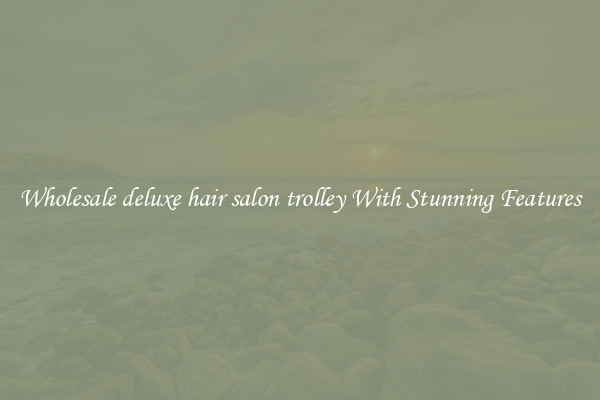 Wholesale deluxe hair salon trolley With Stunning Features