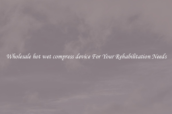 Wholesale hot wet compress device For Your Rehabilitation Needs