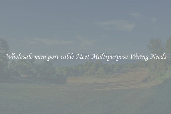 Wholesale mini port cable Meet Multipurpose Wiring Needs