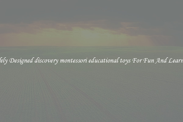 Safely Designed discovery montessori educational toys For Fun And Learning
