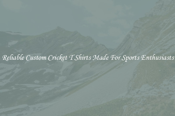 Reliable Custom Cricket T Shirts Made For Sports Enthusiasts