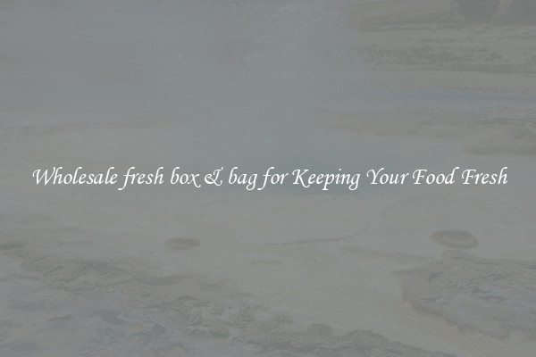 Wholesale fresh box & bag for Keeping Your Food Fresh
