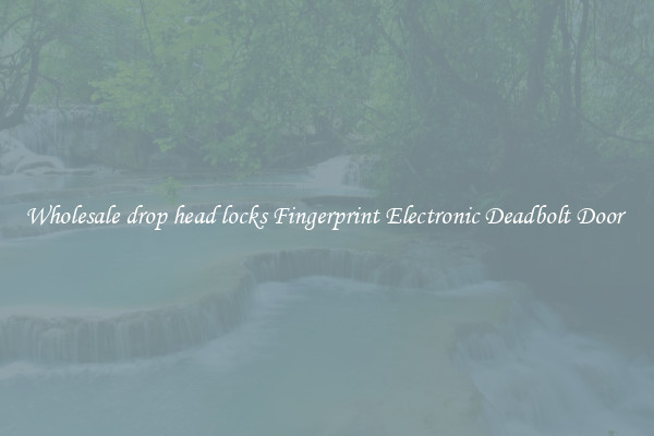 Wholesale drop head locks Fingerprint Electronic Deadbolt Door 
