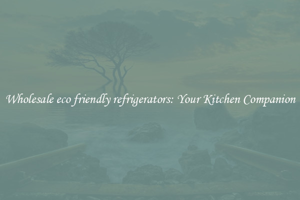 Wholesale eco friendly refrigerators: Your Kitchen Companion