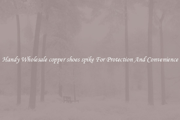 Handy Wholesale copper shoes spike For Protection And Convenience