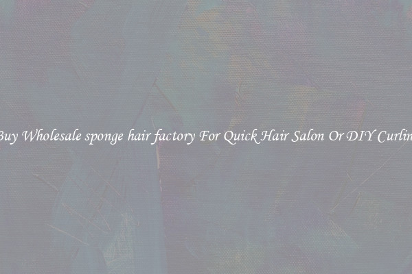 Buy Wholesale sponge hair factory For Quick Hair Salon Or DIY Curling