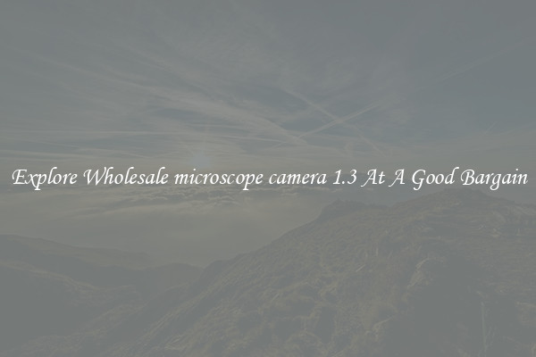 Explore Wholesale microscope camera 1.3 At A Good Bargain