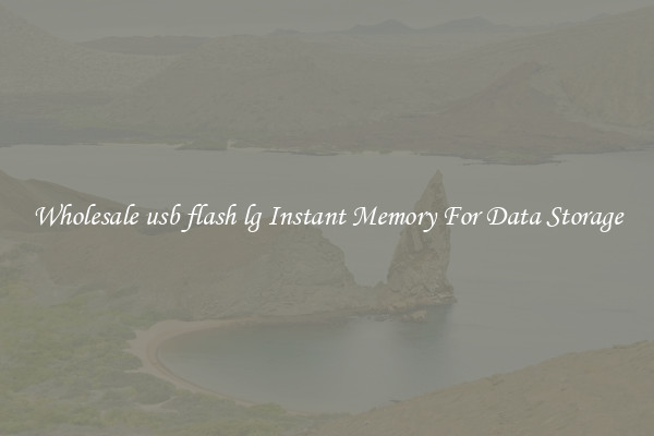 Wholesale usb flash lg Instant Memory For Data Storage