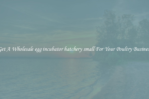Get A Wholesale egg incubator hatchery small For Your Poultry Business