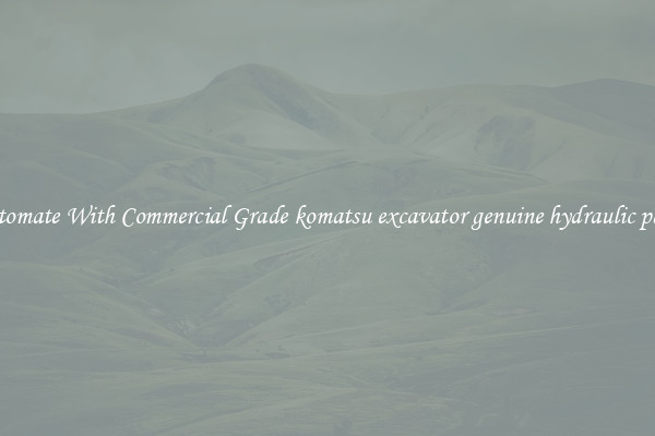 Automate With Commercial Grade komatsu excavator genuine hydraulic parts