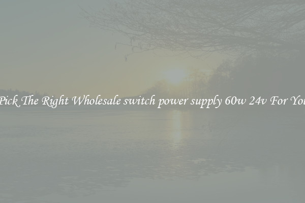 Pick The Right Wholesale switch power supply 60w 24v For You