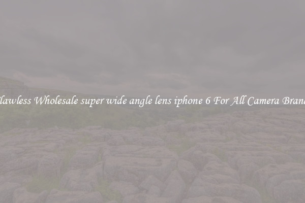 Flawless Wholesale super wide angle lens iphone 6 For All Camera Brands