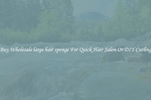 Buy Wholesale large hair sponge For Quick Hair Salon Or DIY Curling