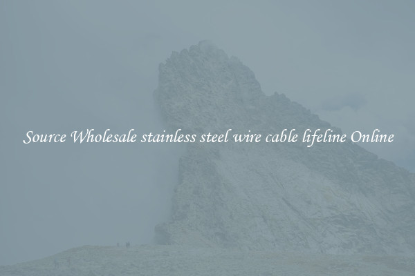 Source Wholesale stainless steel wire cable lifeline Online