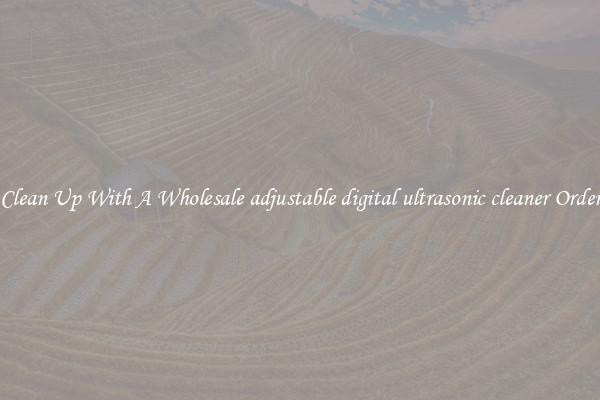 Clean Up With A Wholesale adjustable digital ultrasonic cleaner Order