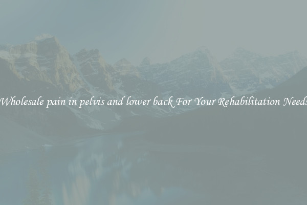 Wholesale pain in pelvis and lower back For Your Rehabilitation Needs