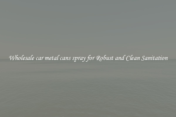 Wholesale car metal cans spray for Robust and Clean Sanitation