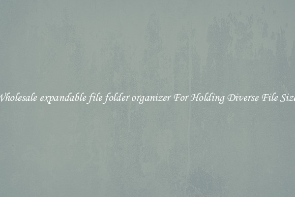 Wholesale expandable file folder organizer For Holding Diverse File Sizes